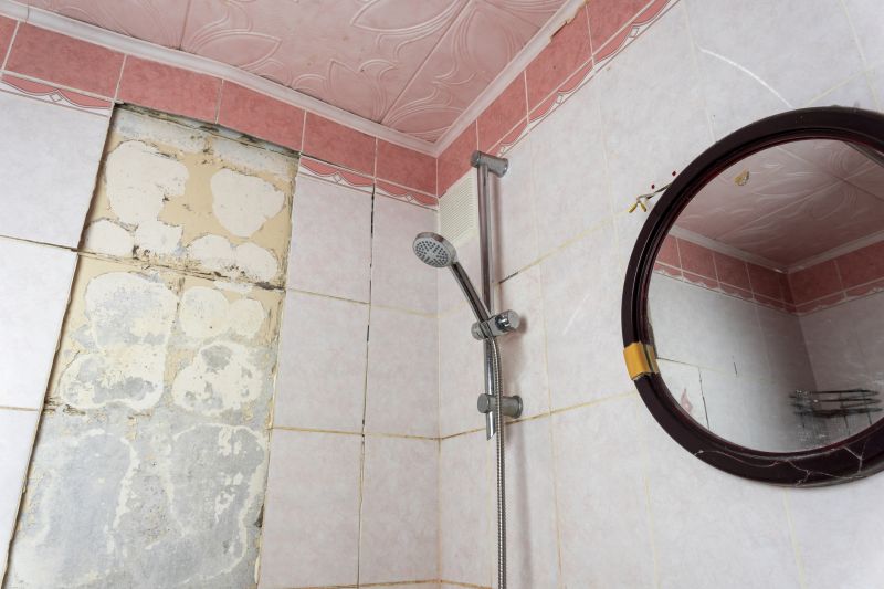 Top Shower Remodeling Companies in Mesa, AZ